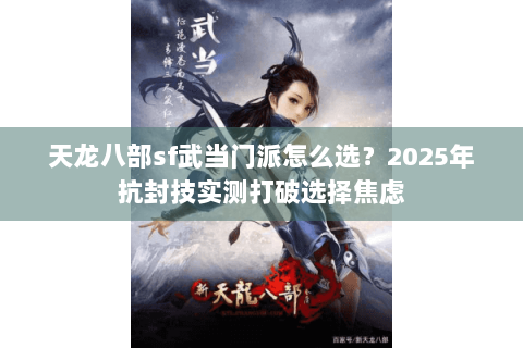 天龙八部sf武当门派怎么选？2025年抗封技实测打破选择焦虑