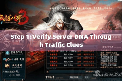 Step 1:Verify Server DNA Through Traffic Clues