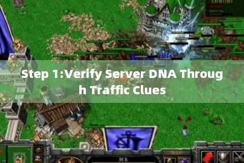 Step 1:Verify Server DNA Through Traffic Clues