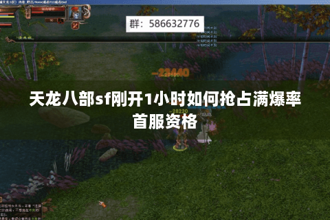 天龙八部sf刚开1小时如何抢占满爆率首服资格