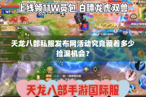 天龙八部私服发布网活动究竟藏着多少捡漏机会？