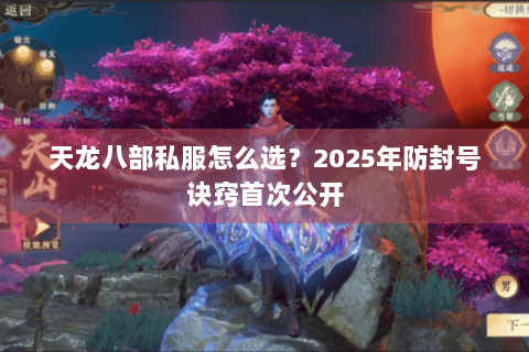 天龙八部私服怎么选?2025年防封号诀窍首次公开 天龙八部私服怎么选?2025年防封号诀窍首次公开