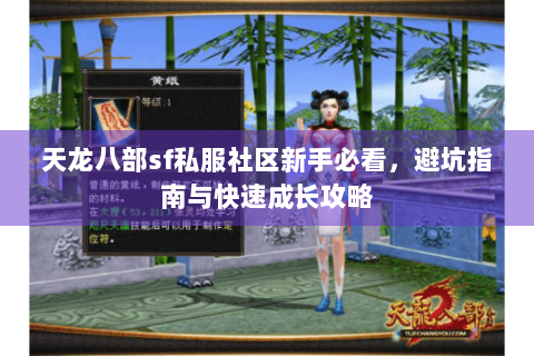 天龙八部sf私服社区新手必看，避坑指南与快速成长攻略