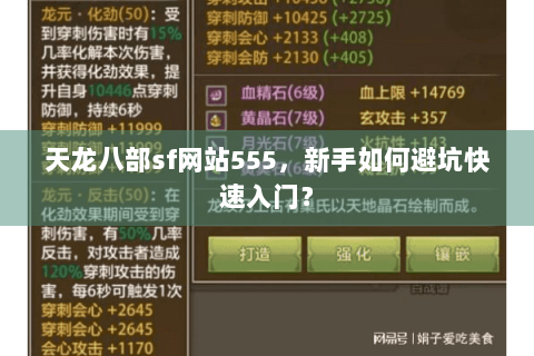 天龙八部sf网站555,新手如何避坑快速入门? 天龙八部sf网站555,新手如何避坑快速入门?