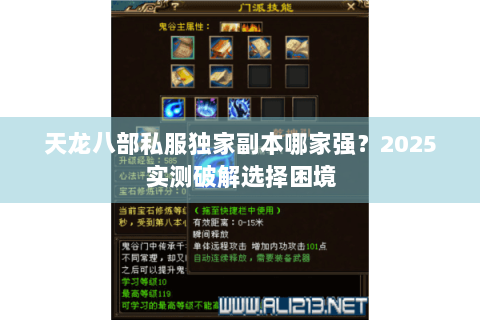 天龙八部私服独家副本哪家强？2025实测破解选择困境