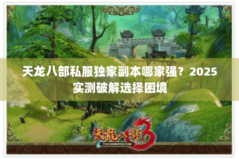 天龙八部私服独家副本哪家强？2025实测破解选择困境