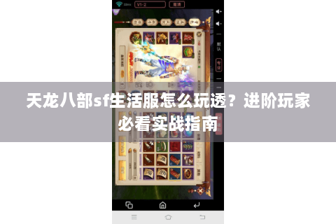 天龙八部sf生活服怎么玩透？进阶玩家必看实战指南