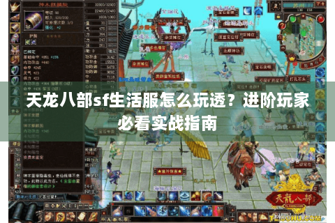 天龙八部sf生活服怎么玩透？进阶玩家必看实战指南