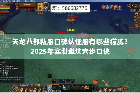 天龙八部私服口碑认证服有哪些猫腻？2025年实测避坑六步口诀