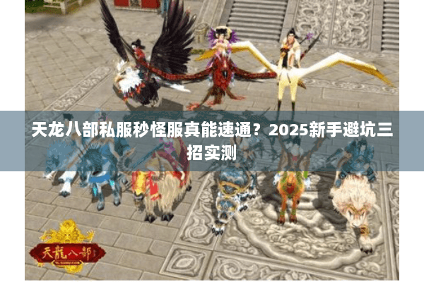 天龙八部私服秒怪服真能速通？2025新手避坑三招实测