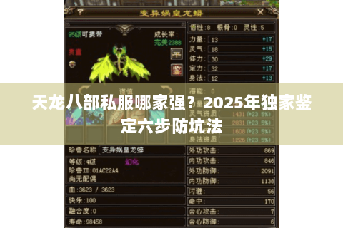 天龙八部私服哪家强？2025年独家鉴定六步防坑法