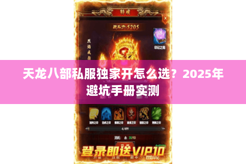天龙八部私服独家开怎么选？2025年避坑手册实测