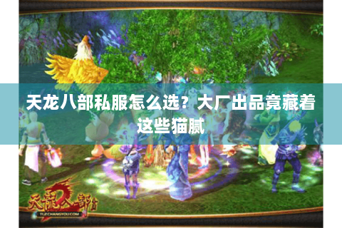 天龙八部私服怎么选？大厂出品竟藏着这些猫腻