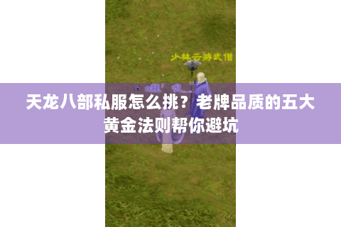 天龙八部私服怎么挑?老牌品质的五大黄金法则帮你避坑 天龙八部私服怎么挑?老牌品质的五大黄金法则帮你避坑