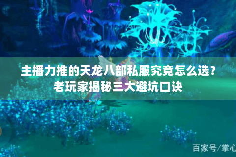 主播力推的天龙八部私服究竟怎么选？老玩家揭秘三大避坑口诀