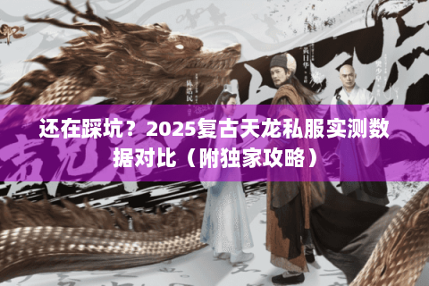 还在踩坑？2025复古天龙私服实测数据对比（附独家攻略）