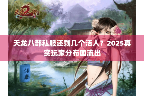 天龙八部私服还剩几个活人?2025真实玩家分布图流出 天龙八部私服还剩几个活人?2025真实玩家分布图流出