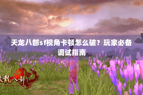 天龙八部sf视角卡顿怎么破？玩家必备调试指南