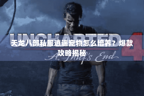 天龙八部私服逍遥宠物怎么培养?爆款攻略揭秘 天龙八部私服逍遥宠物怎么培养?爆款攻略揭秘