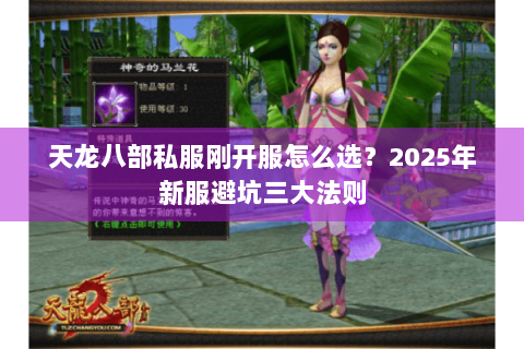 天龙八部私服刚开服怎么选?2025年新服避坑三大法则 天龙八部私服刚开服怎么选?2025年新服避坑三大法则
