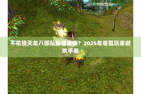 不花钱天龙八部私服哪家强?2025年零氪玩家避坑手册 不花钱天龙八部私服哪家强?2025年零氪玩家避坑手册