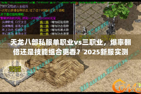 天龙八部私服单职业vs三职业，爆率翻倍还是技能组合更香？2025新服实测对比