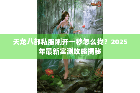 天龙八部私服刚开一秒怎么找？2025年最新实测攻略揭秘
