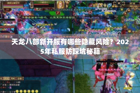 天龙八部新开服有哪些隐藏风险?2025年私服防踩坑秘籍 天龙八部新开服有哪些隐藏风险?2025年私服防踩坑秘籍