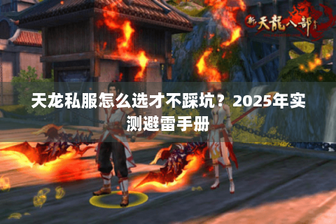 天龙私服怎么选才不踩坑？2025年实测避雷手册
