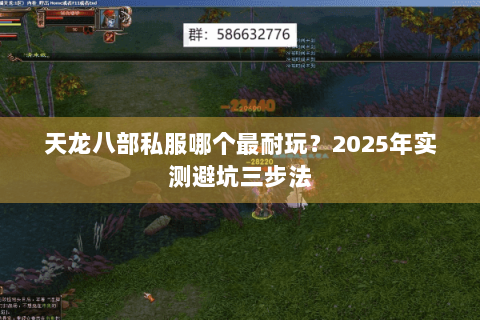 天龙八部私服哪个最耐玩?2025年实测避坑三步法 天龙八部私服哪个最耐玩?2025年实测避坑三步法