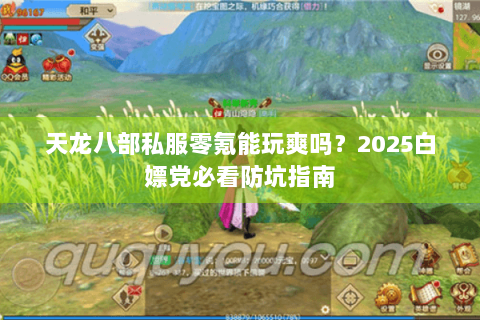 天龙八部私服零氪能玩爽吗？2025白嫖党必看防坑指南