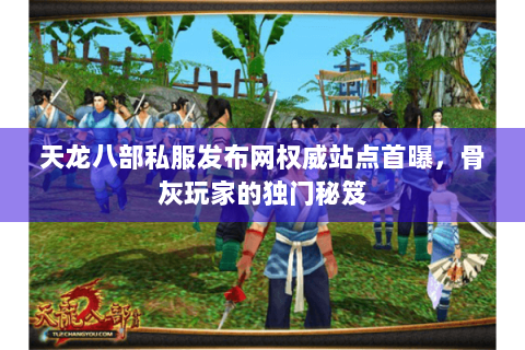 天龙八部私服发布网权威站点首曝，骨灰玩家的独门秘笈