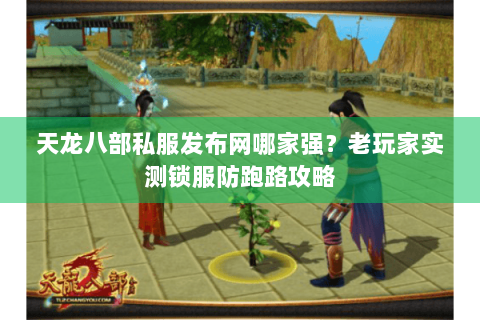 天龙八部私服发布网哪家强？老玩家实测锁服防跑路攻略