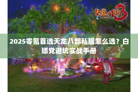 2025零氪首选天龙八部私服怎么选?白嫖党避坑实战手册 2025零氪首选天龙八部私服怎么选?白嫖党避坑实战手册