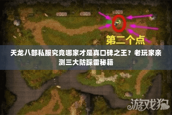 天龙八部私服究竟哪家才是真口碑之王?老玩家亲测三大防踩雷秘籍 天龙八部私服究竟哪家才是真口碑之王?老玩家亲测三大防踩雷秘籍