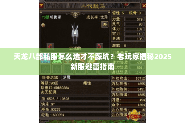 天龙八部私服怎么选才不踩坑？老玩家揭秘2025新服避雷指南