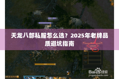 天龙八部私服怎么选？2025年老牌品质避坑指南