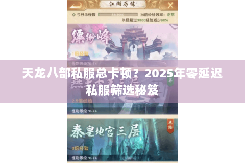 天龙八部私服总卡顿?2025年零延迟私服筛选秘笈 天龙八部私服总卡顿?2025年零延迟私服筛选秘笈