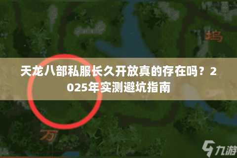 天龙八部私服长久开放真的存在吗？2025年实测避坑指南