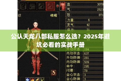 公认天龙八部私服怎么选？2025年避坑必看的实战手册