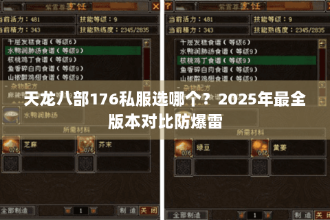 天龙八部176私服选哪个？2025年最全版本对比防爆雷