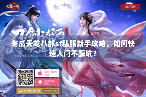冬瓜天龙八部sf私服新手攻略，如何快速入门不踩坑？