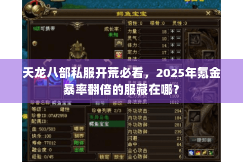 天龙八部私服开荒必看,2025年氪金暴率翻倍的服藏在哪? 天龙八部私服开荒必看,2025年氪金暴率翻倍的服藏在哪?