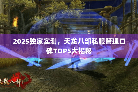 2025独家实测,天龙八部私服管理口碑TOP5大揭秘 2025独家实测,天龙八部私服管理口碑TOP5大揭秘