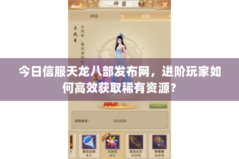 今日信服天龙八部发布网，进阶玩家如何高效获取稀有资源？