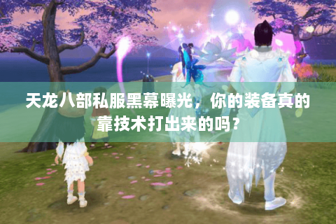 天龙八部私服黑幕曝光,你的装备真的靠技术打出来的吗? 天龙八部私服黑幕曝光,你的装备真的靠技术打出来的吗?