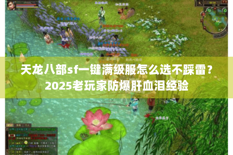 天龙八部sf一键满级服怎么选不踩雷？2025老玩家防爆肝血泪经验