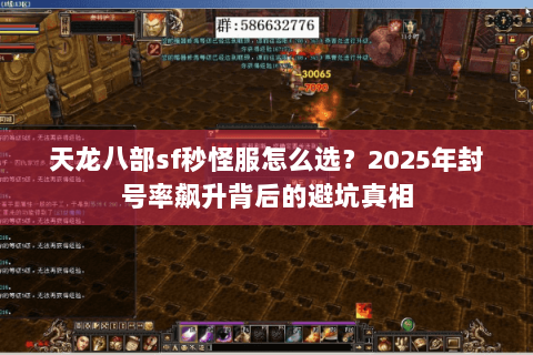 天龙八部sf秒怪服怎么选？2025年封号率飙升背后的避坑真相