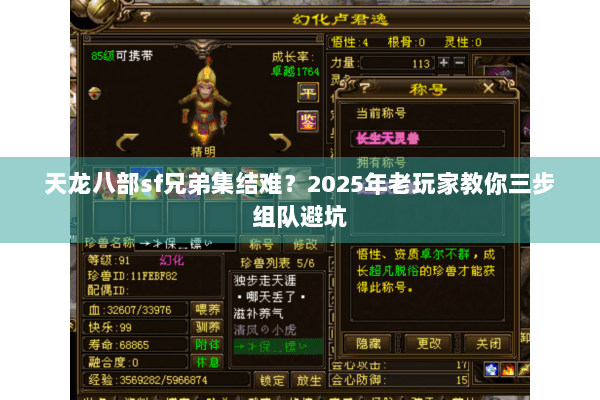 天龙八部sf兄弟集结难？2025年老玩家教你三步组队避坑