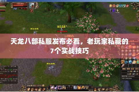 天龙八部私服发布必看,老玩家私藏的7个实战技巧 天龙八部私服发布必看,老玩家私藏的7个实战技巧